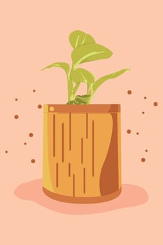 Illustration of a plant starting to grow leaf buds with an orange pot on a pink background vector