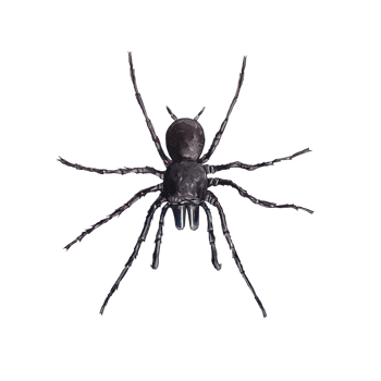 Spider, black. Arthropod. Hand drawn watercolor illustration of an insect. For Halloween cards, invitations, flyers, banners, poster png