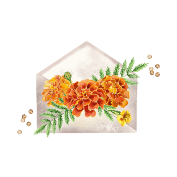 Marigolds watercolor, flowers on an envelope. Hand drawn botanical illustration. For birthday cards, invitations, covers, labels. png