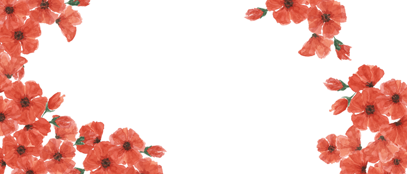 Red poppies web template banner. Poppy day flower compositions. Hand drawn watercolor illustration for card, design, commemorative events, US memorial day, Anzac day, flyers, banners, sale png