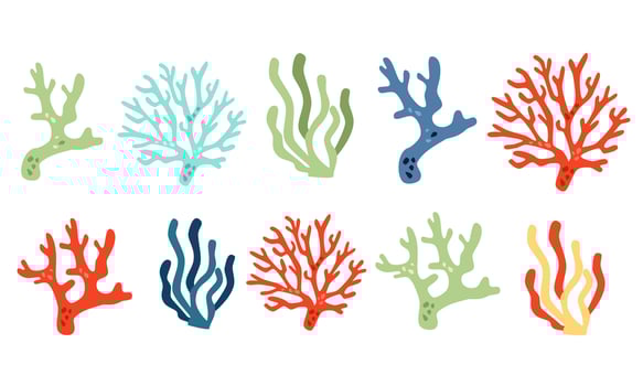 collection of colorful corals. Underwater plants on white background vector