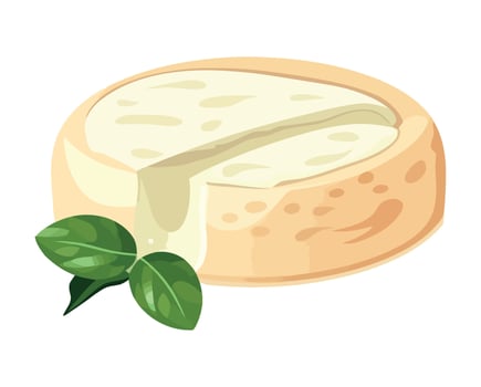 Fresh mozzarella slice on herb infused icon isolated vector