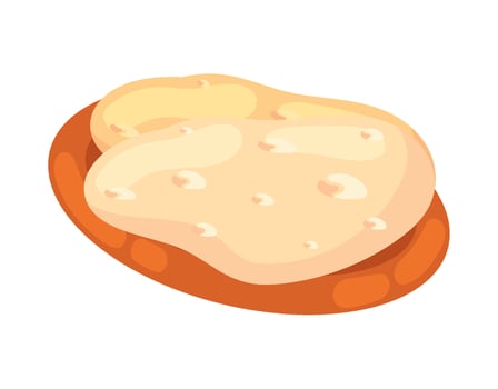 indian bread in dish icon isolated vector
