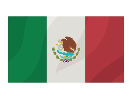 mexican flag illustration isolated design vector