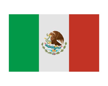 mexican flag national illustration isolated vector