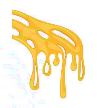 cheese sliced melted ingredient illustration vector