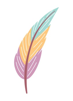 native feather ornament illustration isolated vector