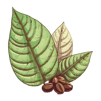 coffee plant and beans on white background icon isolated vector