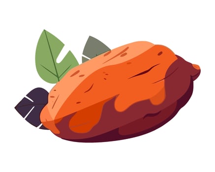 Fresh organic potato make gourmet meal icon isolated vector