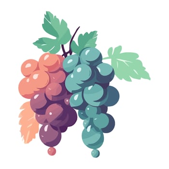 Fresh grape bunches ripe icon isolated vector