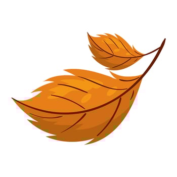 autumn leaves isolated illustration design vector