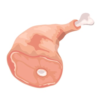 meat product lamb leg icon isolated vector