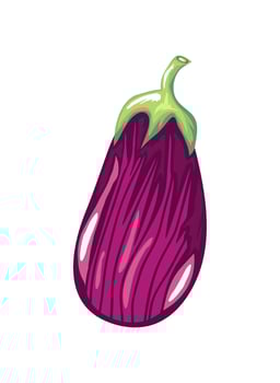 fresh eggplant vegetable icon isolated white background vector