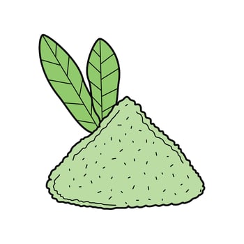 matcha tea powder icon isolated illustration vector