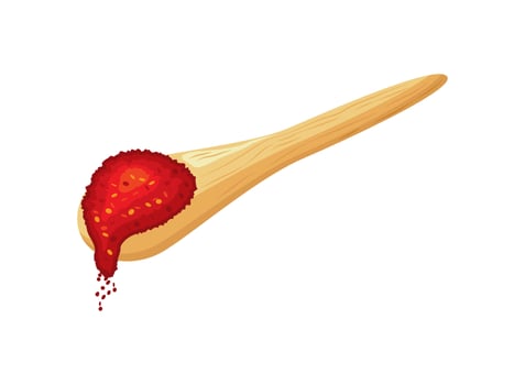 chili pepper powder in wooden spoon illustration isolated vector