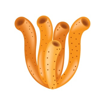 sea life coral illustration isolated vector