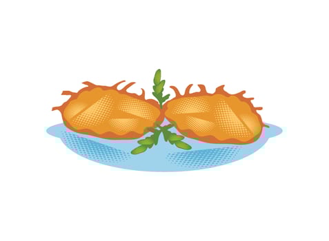 hanukkah latkes jewish isolated illustration vector
