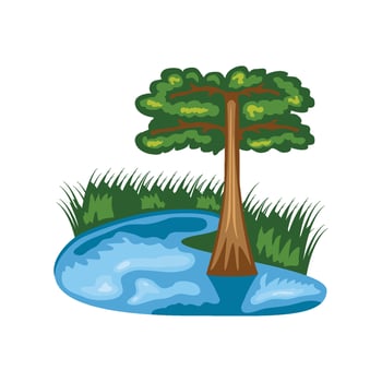 wetland ecology design illustration isolated vector