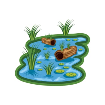 wetland panorama nature illustration isolated vector