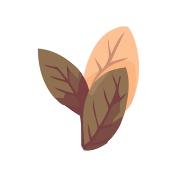 Autumn leaves symbolize nature growth and beauty icon isolated vector