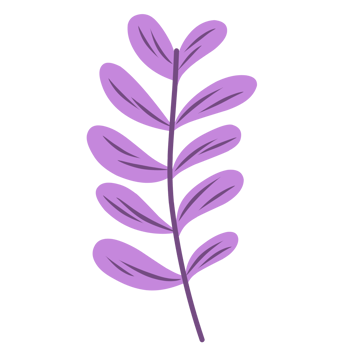 Botanical branch leaf png