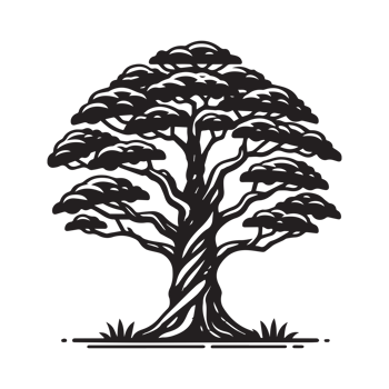 tree silhouette transparent . png
