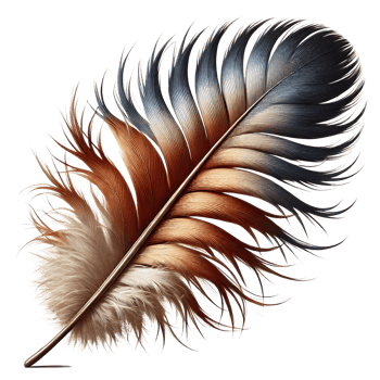 decorative mystical phoenix feather png
