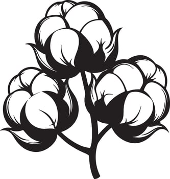 cotton flower illustration black and white vector