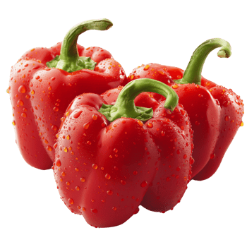 A fresh three red pepper with water droplets isolated on a transparent background png