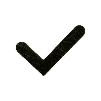 Check Mark Yes Icon Symbol isolated on transparent background png