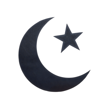 Crescent Moon Icon Symbol isolated on transparent background png