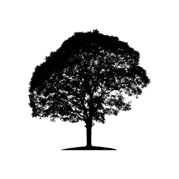 Fruit Tree Silhouette Symbol isolated on transparent background png
