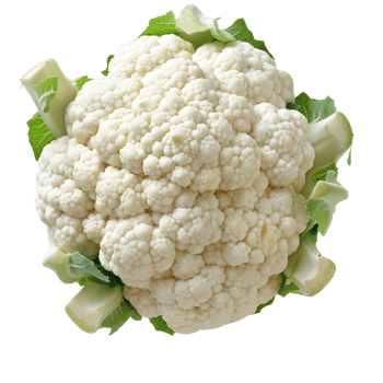 A single head of cauliflower isolated on a transparent background png