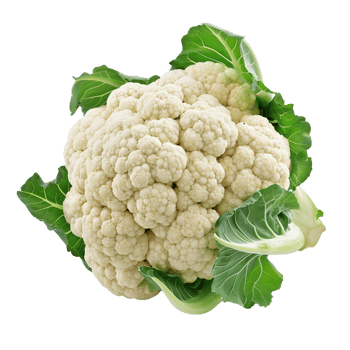A single head of cauliflower isolated on a transparent background png