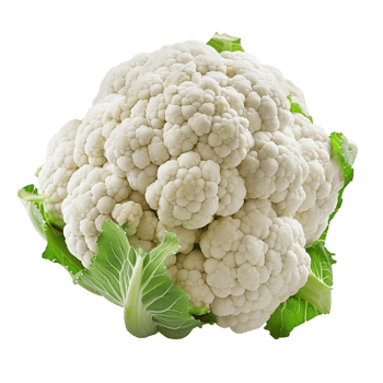 A single head of cauliflower isolated on a transparent background png