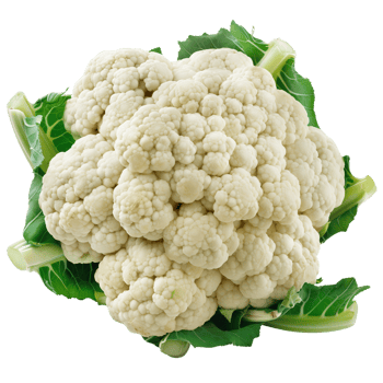 A single head of cauliflower isolated on a transparent background png