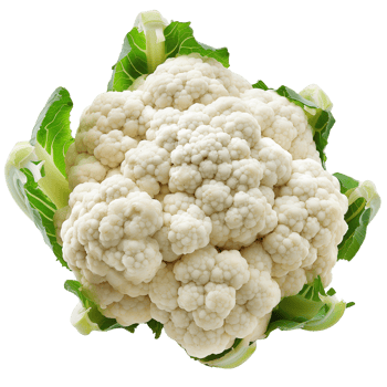 A single head of cauliflower isolated on a transparent background png
