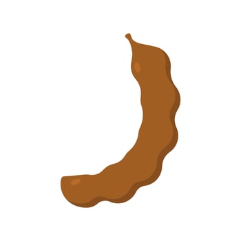tamarind flat design illustration isolated on white background. Flavor spices and herbs menu template collection. Ripe brown tamarindus indica icon for package design. tropical exotic fruits vector