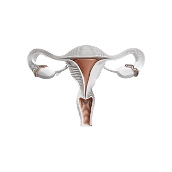 Human Male Reproductive System Medical Icon Symbol isolated on transparent background png