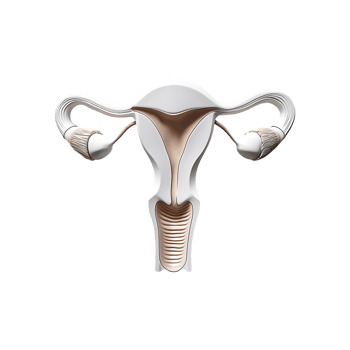 Human Male Reproductive System Medical Icon Symbol isolated on transparent background png