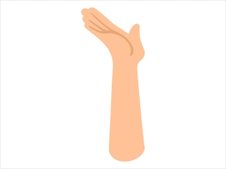 Hand Drawn Human Hand Illustration vector