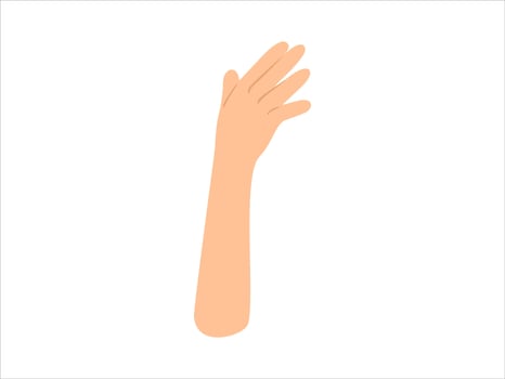 Hand Drawn Human Hand Illustration vector