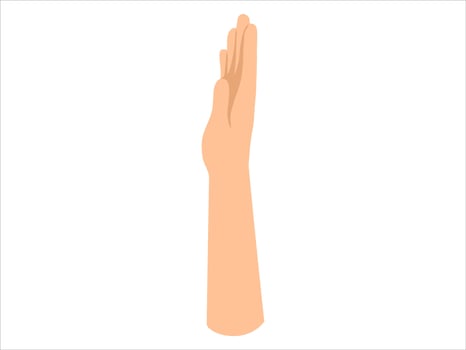 Hand Drawn Human Hand Illustration vector