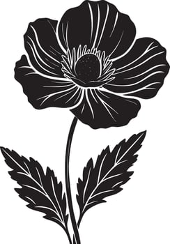 hand drawn flower illustration black and white vector