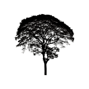 Small Tree Silhouette Symbol isolated on transparent background png