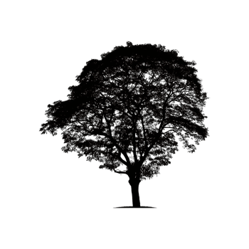 Tree Silhouette Symbol isolated on transparent background png