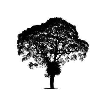 Tree Silhouette Symbol isolated on transparent background png