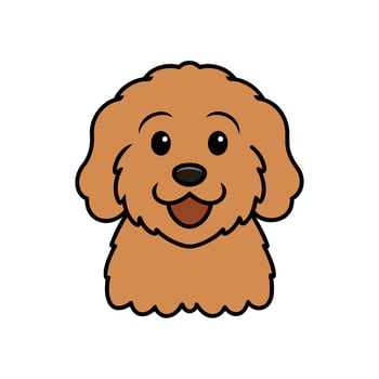 Australian Labradoodle dog smiles icon illustration vector