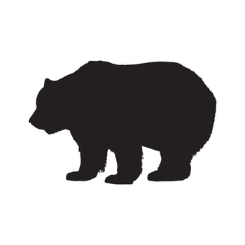 Grizzly Bear Animal Art Silhouette Illustration vector