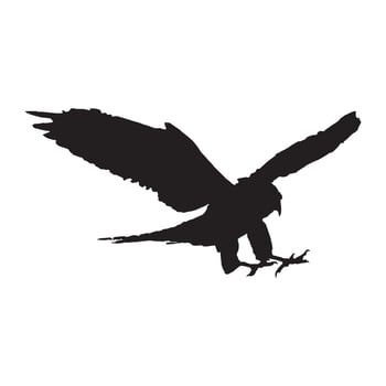 Falcon Silhouette Illustration Bird Animal Art vector